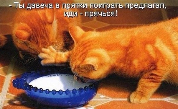 ЩЖ давеча в прятштпвигратвйредгашйгйі ищи прячься