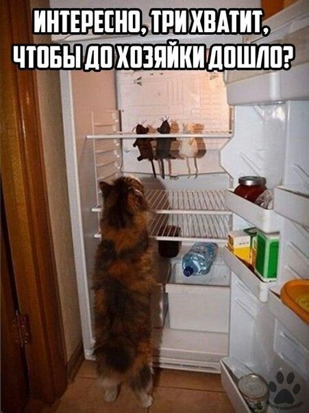 ИНТЕРЕЕНПТРИХВМШ ЧШБЫ дшхпзпйиилпшлп