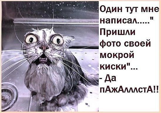 Один тут мне ЁПрИШШ __ написаА _ ё фото своей _ _мокрой киски