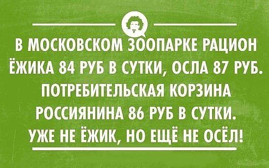 в московском зоопдгкв РАЦИОН Ёжикд 84 т в сутки ослд 87 РУБ потгввитвльскдя корзинд россиянинд 86 в сутки уже не Ёжик но ЕЩЁ НЕ осёлц