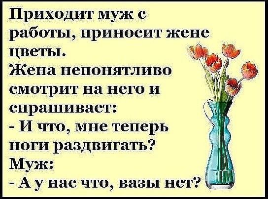 Приходит муж с работы приносит жене цветы Жена непонятливо смотрит на него и спрашивает И что мне теперь ноги раздвигать Муж А у нас что вазы нет