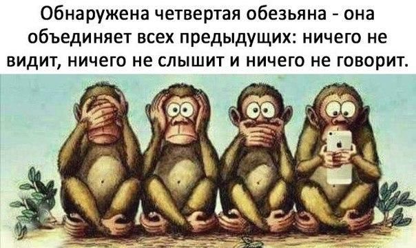 Обнаружена четвертая обезьяна она объединяет всех предыдущих ничего не видит ничего не слышит и ничего не говорит