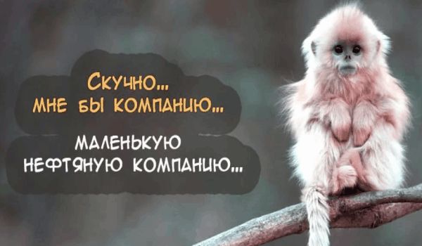 СКУЧНО МНЕ БЫ КОМПАНИЮ МААЕНЬКУЮ НЕФТЧНУЮ КОМПАНИЮ