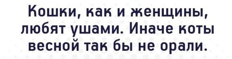 Кошки как и женщины любят ушами Иначе ноты весной так бы не орали