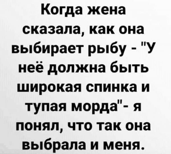 Когда жена сказала как она выбирает рыбу У неё должна быть широкая спинка и тупая морда я понял что так она выбрала и меня