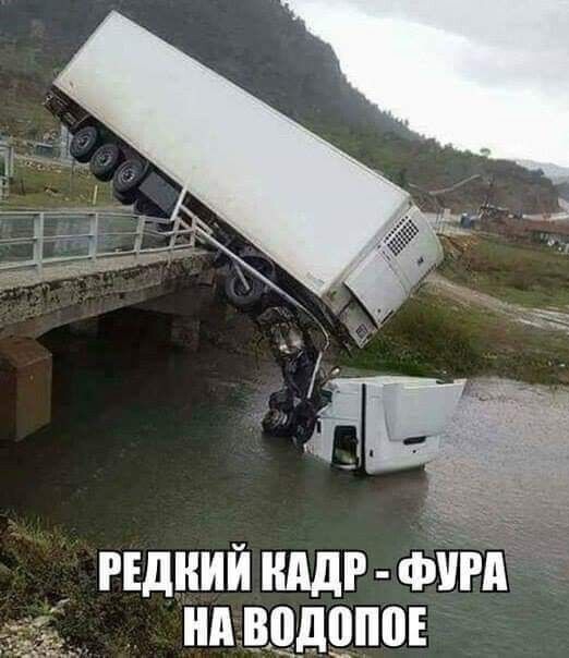 гндний нддг фуги нд вцдцпов