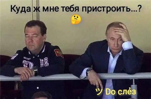 Куда ж мне тебя пристроить