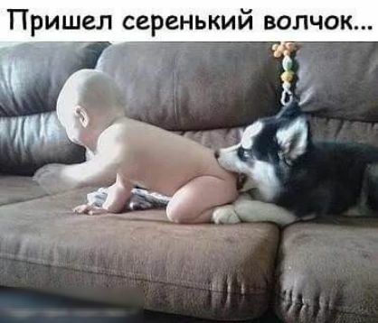 Пришел серенъкий волчок 2