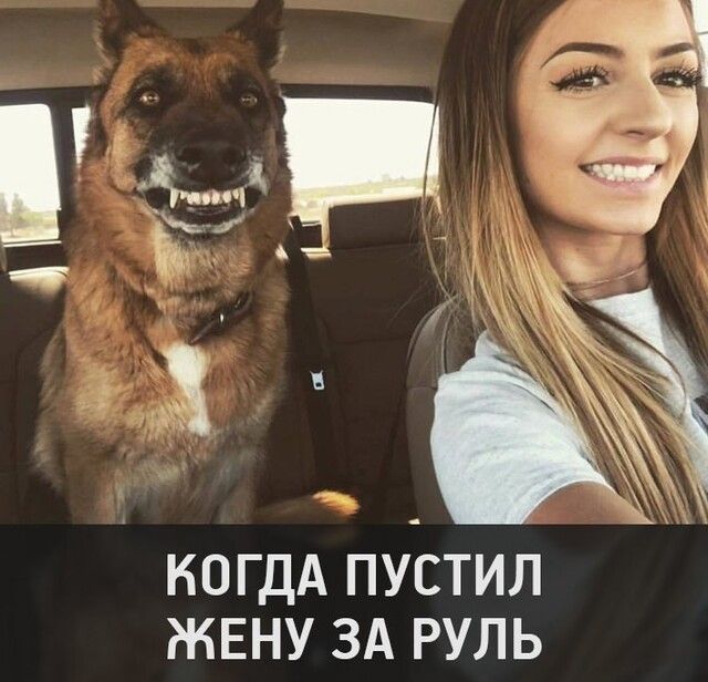 КОГДА ПУСТИЛ ЖЕНУ ЗА РУЛЬ