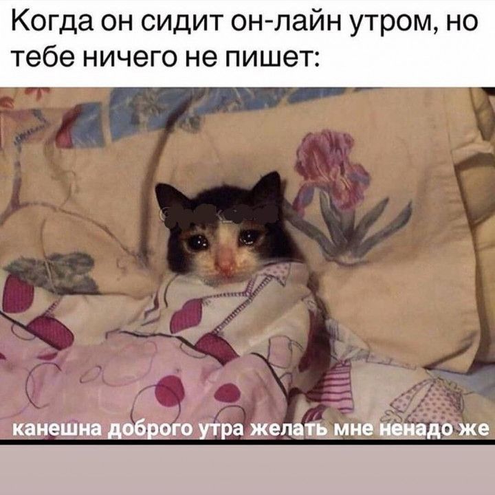 Когда он сидит он лайн утром но тебе ничего не пишет