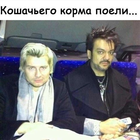 КОШОЧЬБГО КОРМО ПОЗЛИ