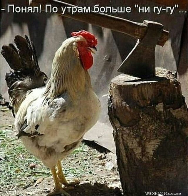 Пондп Памбопьше ни гугу тЕві щедрым
