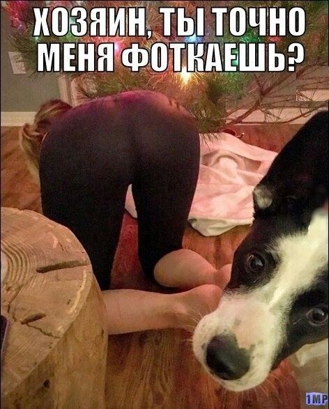 казнили ыточно мвнніфадё __ш _ _