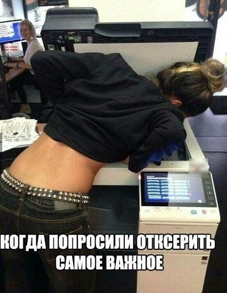 ниши попросили отневгить ешо инст