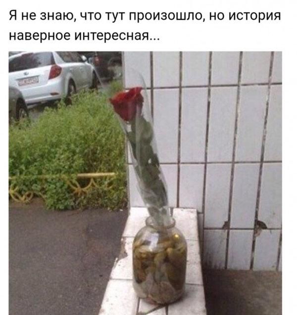 Я не знаю ЧТО ТУТ ПРОИЗОШЛО НО ИСТОРИЯ наверное интересная