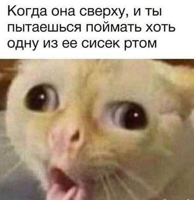 Когда она сверху и ты пытаешься поймать хоть одну из ее сисек ртом