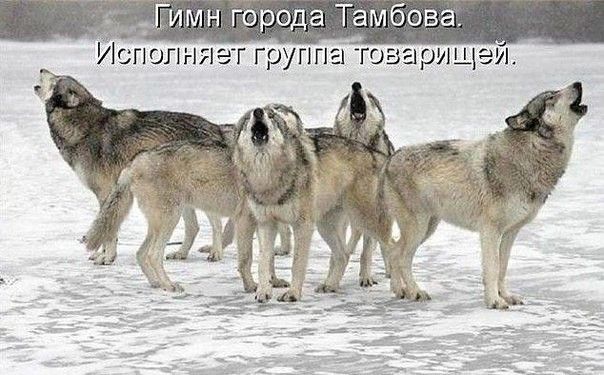 Гимн города Тамбова Исполняет группгігоаарищел