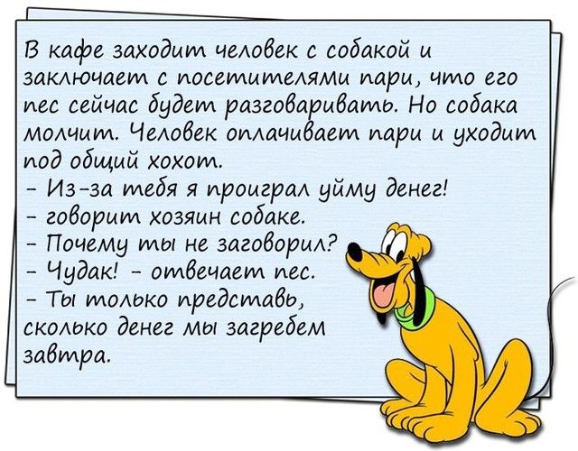 Кафе заходи. Анекдоты для людей за 40. Человек заходит в кафе. Анекдоты о собаках и людях. Анекдот человек заходит в кофейню.