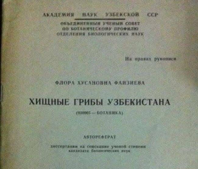 ити птиц милым ПГППЛ Я Моіч ХИАНОПМ ОАЦЗИБВА ХИЩНЫЕ ГРИБЫ УЗБЕКИСТАНА тиви шипит ц пт син г и