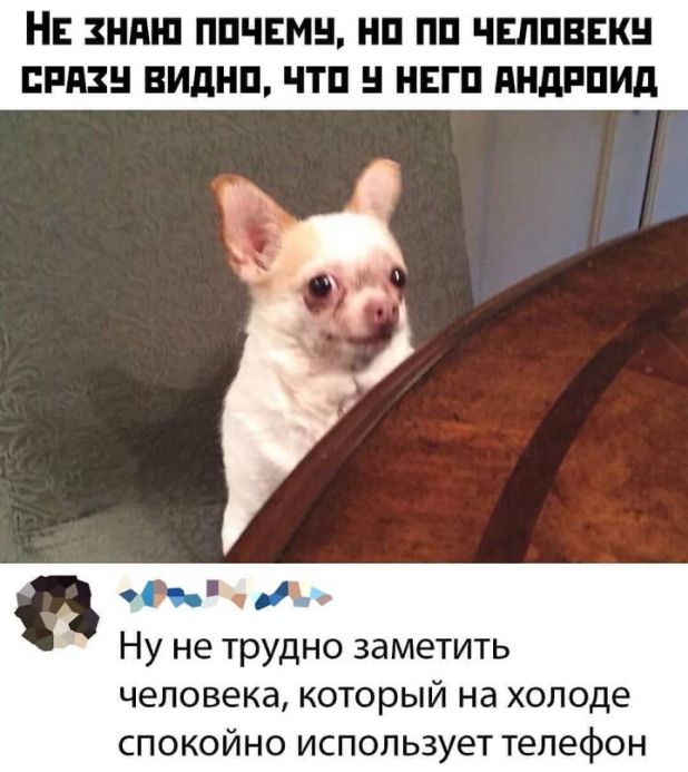 НЕ ЗНПШ ППЧЕМН НП ПП ЧЕЛПВЕКН ПРИЗ ВИдНП ЧТП НЕГП ПНдРПИд ч Ну не трудно заметить Человека КОТОРЫЙ На ХОЛОде спокойно использует телефон