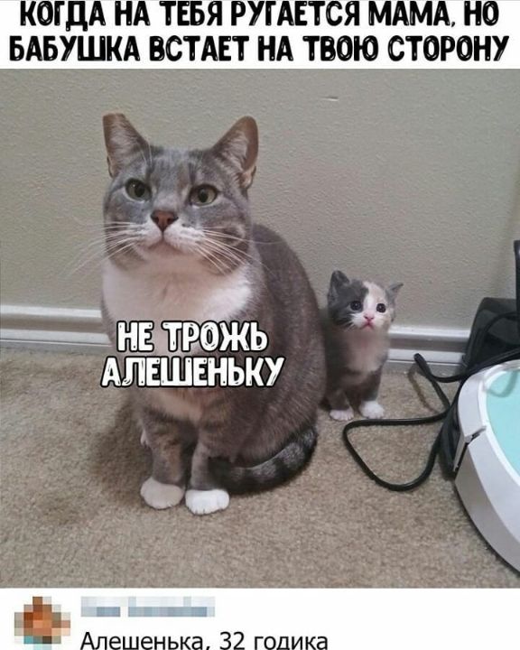 ОЩА НА ТБЯ РУГАЕТСЯ МАМА НО БАБУШКА ВОТАЕТ НА ТВОЮ СТОРОНУ ь__ __ нывожь Алвшвньку з