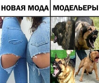 НОВАЯ МОДА МОДЕАЬЕРЫ __ а _ АЁ