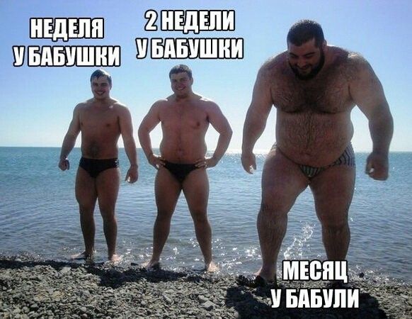 шэшзлп ш