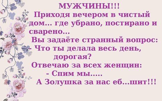 МУЖЧИНЫ Приходя вечером в чистый дом где убрано постирано и сварено Вы задаёте странный вопрос Что ты делала весь день дорогая Отвечаю за всех женщин _ Спим мы А Золушка за нас ебшит