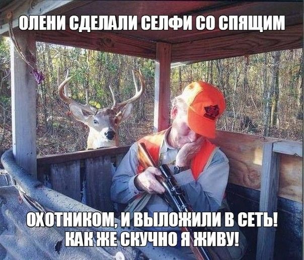 7 ШШШ БДШМШ БШФИ 80 ШШЩИМ