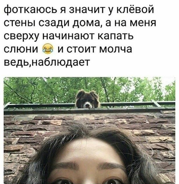 фоткаюсь я значит у клёвой стены сзади дома а на меня сверху начинают капать слюни вз и стоит молча ведьнаблюдает