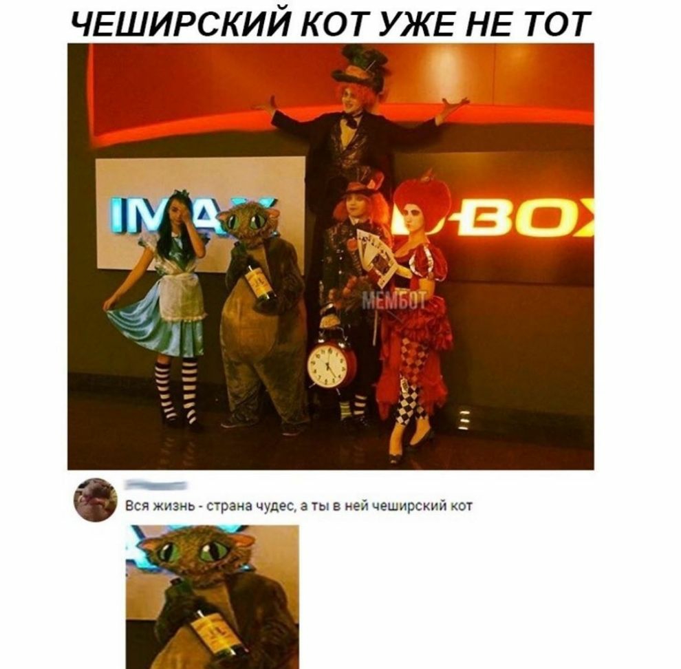 ЧЕШИРСКИЙ кот УЖЕ н_Е тот в __ Вся жизнь страна чудес а ты в ней чеширский кот