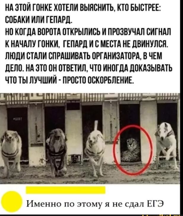 НА ОТОИ ГОНКЕ ХОТЕЛИ ВЫНСНИТЬ КТО БЫСТРЕЕ СОБАКИ ИЛИ ГЕПАРД НО КОГДА ВОРОТА ОТКРЫЛИСЬ И ПРОЗВУЧАЛ СИТНАЛ К НАЧАЛУ ГОНКИ ГЕПАРД И С МЕСТА НЕ ДВИНУЛСЯ ЛЮДИ СТАЛИ СПРАШИВАТЬ ОРТАНИЗАТОРА В ЧЕМ ДЕЛО НА ОТО ОН ОТВЕТИЛ ЧТО ИНОГДА ДОКАЗЫВАТЬ ЧТО ТЫ ЛУЧШИЙ ПРОСТО ОСКОРБЛЕНИЕ Именно по этому я не сдал ЕГЭ
