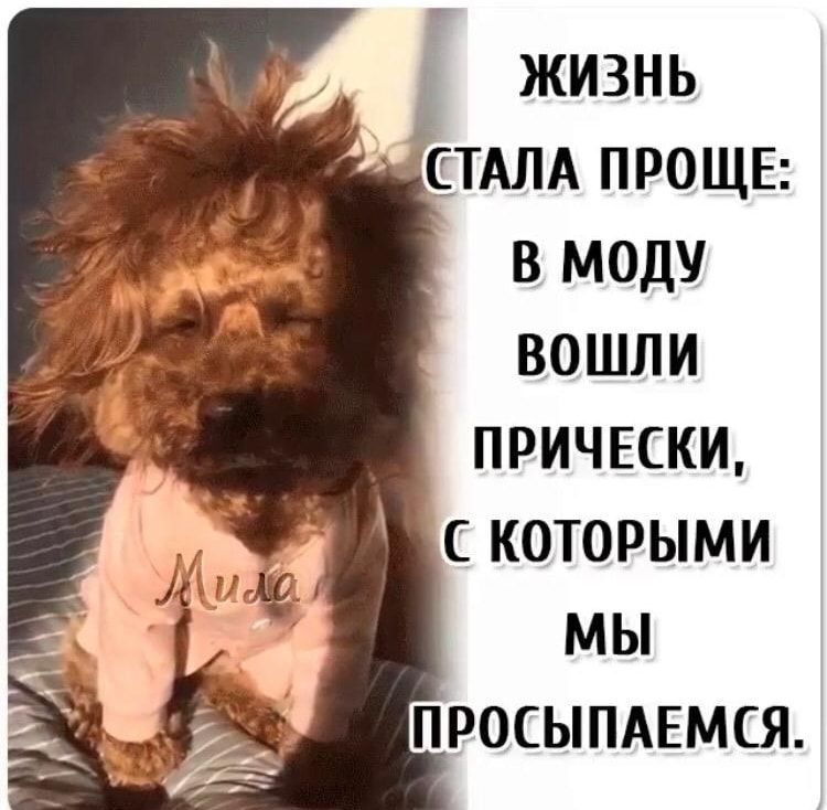 _ жизнь СТАЛА ПРОЩЕ в моду вошли ПРИЧЕСКИ с которыми мы ПРОСЫПАЕМСЯ