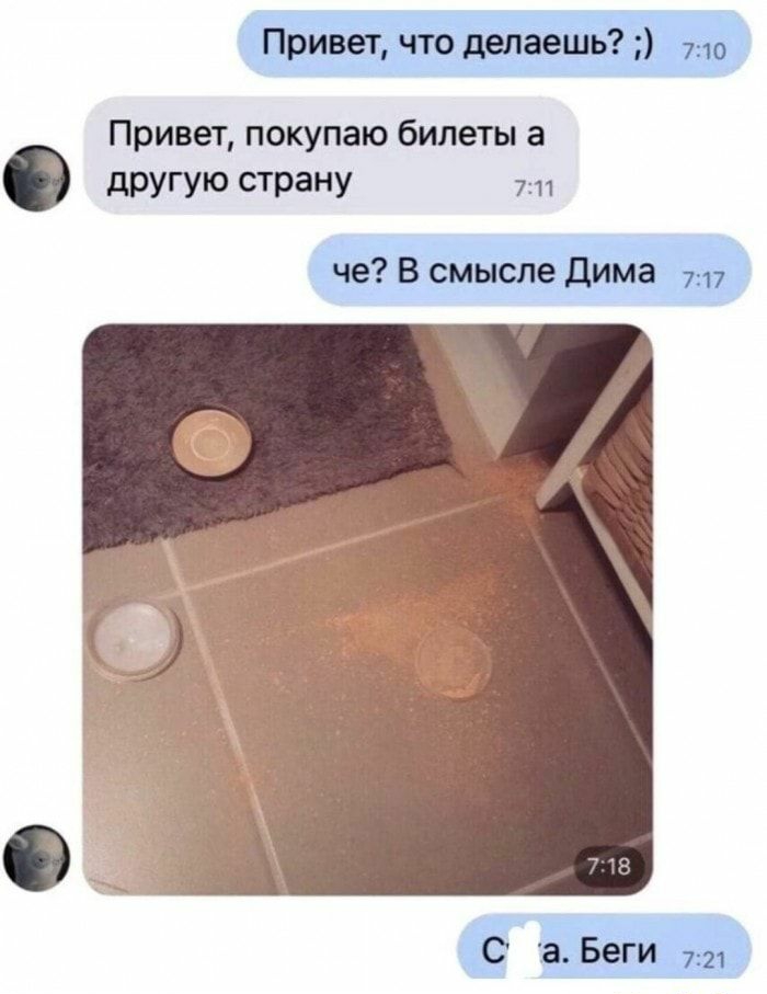 Привет что делаешь 710 Привет покупаю билеты а другую страну че В смысле Дима 717 С а Беги 721