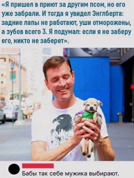 Я пришел в приют за другим псом но его уже забрали И тогда я увидел Знгпберта задние лапы не работают УШИ ОТМОРПЖЕНЫ а зубов всего 3 Я подумал если я не заберу его никто не заберет Бабы так себе мужика выбирают