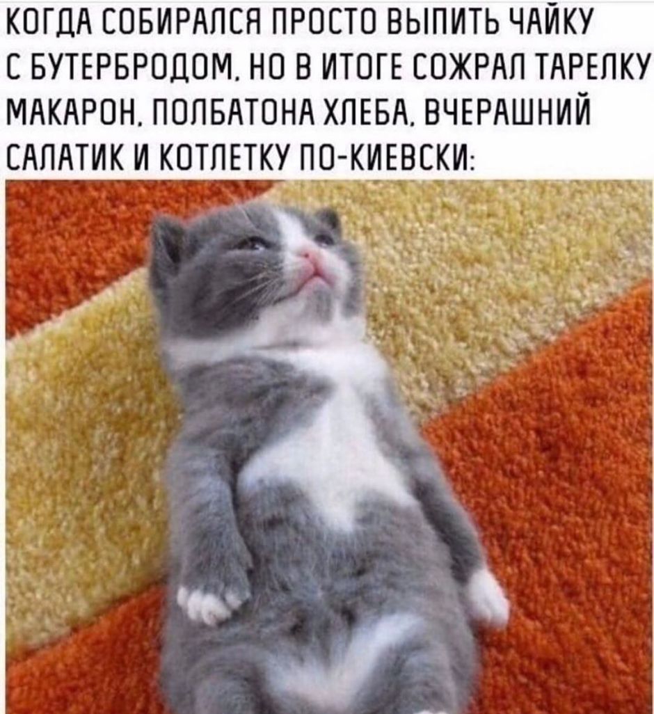 КОГДА СПБИРАПСЯ ПРОСТО ВЫПИТЬ ЧАЙКУ С БУТЕРБРОДОМ НО В ИТОГЕ ЕОЖРАП ТАРЕПКУ МАКАРОН ПОПБАТОНА ХПЕБА ВЧЕРАШНИЙ САПАТИК И КОТЛЕТКУ ПО КИЕВЕКИ _ ч ъ 3 м А ч Ъ