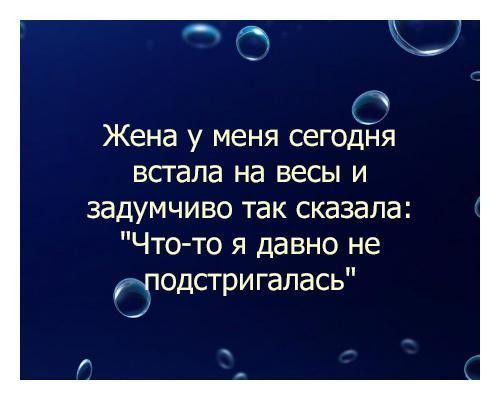 С Жена у меня сегодня встала на весы и задумчиво так сказала Что то я давно не подстригалась ц