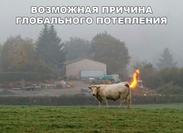 ЩЁПЩЁША ЁЫЁЬЁПЁ ЁЁЁЗ