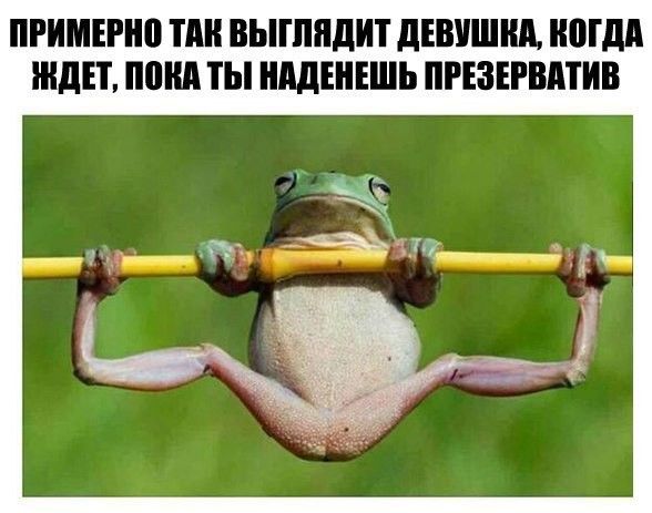 ПРИМЕПЮ ПШ ВЫПШДИТ дЕШШШ ШПД ЖДЕТ ШШ ТЫ ШЩШЕШЬ ПРЕЗЕРВАТИВ