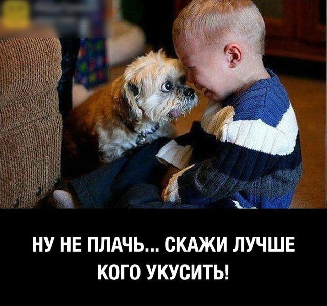 НУ НЕ ПЛАЧЬ СКАЖИ ЛУЧШЕ КОГО УКУСИТЬ