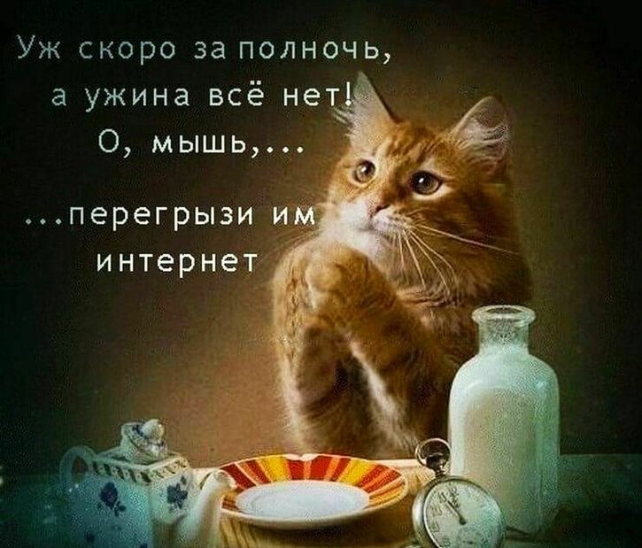 Уж скоро за полночь а ужина всё не 0 мышь