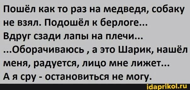 Пошёл как то раз на медведя собаку не взял Подошёл к берлоге Вдруг сзади лапы на плечи оборачиваюсь а это Шарик нашёл меня радуется лицо мне лижет А Я сру ОСТВНОВИТЬСЯ не МОГУ _