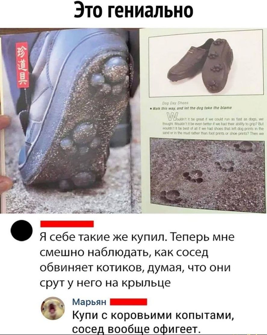 Это гениально Я себе такие же купил Теперь мне смешно наблюдать как сосед обвиняет котиков думая что они срут у него на крыльце Марьян _ Купи с коровьими копытами сосед вообще офигеет