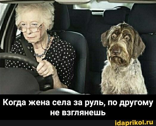 Когда жена села за руль по другому не взглянешь