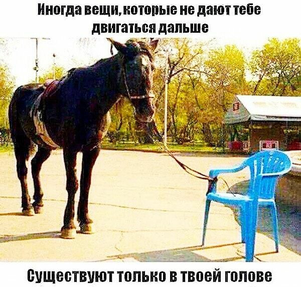 Иногда ВЕЩИДОТППЫВ не дают ТЕБЕ двигаться дальше _ 1 51 существуют только в твоей голове