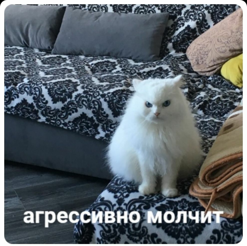 ж _ __ агресгфВнёіоЛчуі