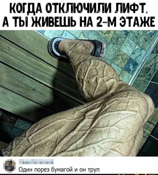 КОГДА ОТКЛЮЧИЛИ ЛИФТ Один порез бумагой и он труп