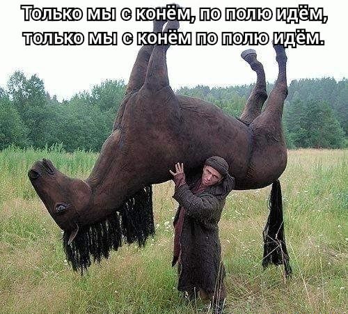 Только конём тэпько конёмтюидём