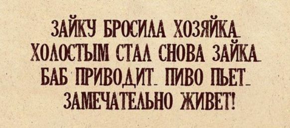ЗАИКЧ БРОСИАА ХОЗЯЩ ХОАОСГЫМ СТАА СНОВА ЗАИКА БАБ ПРИВОАИТ ПИВО ПЬЕТ ЗАМЕЧАТЕАЬНО ЖИВЕТ