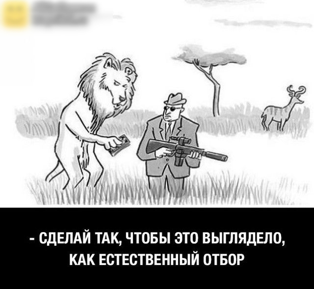 СДЕЛАЙ ТАК ЧТОБЫ ЭТО ВЫГЛЯДЕПО КАК ЕСТЕСТВЕННЫЙ ОТБОР